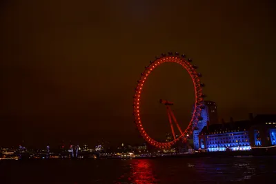 DSC_5743 (Large).JPG